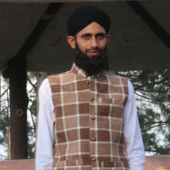 Ronaq e Zindagi Ap Hain By Muhammad Amjad Abbasi