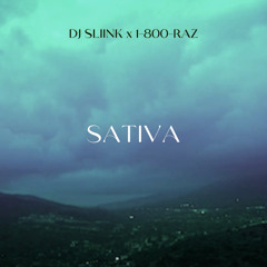 DJ SLIINK x 1-800-RAZ - SATIVA [BOOTLEG]