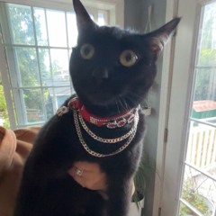 eddies soul gone missing.