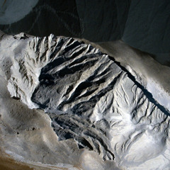 Broken Ecologies II