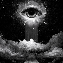 Whales - Imagination