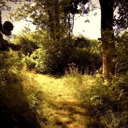 Stream The Secret Pathway by Lisa Braathen | Listen online for free on