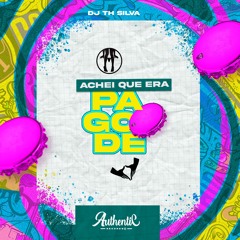 ACHEI QUE ERA PAGODE - DJ TH SILVA
