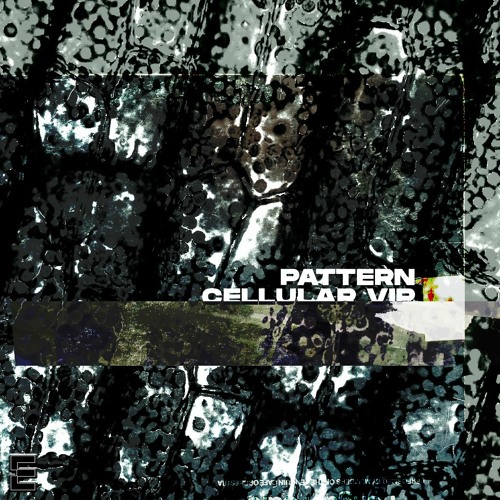 Pattern - Cellular VIP [4K FREE DL]