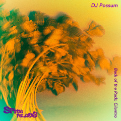 Back of the Rack 003 – DJ Possum