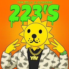 223