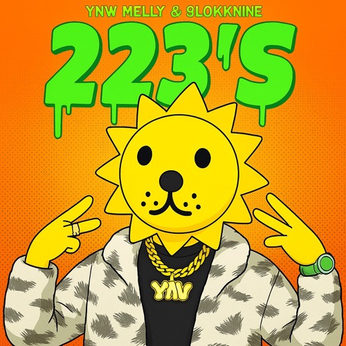 223