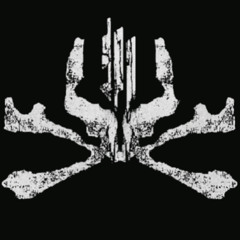 Skrillex & Wiwek - HABIBI [HQ]