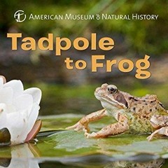 DOWNload ePub Tadpole to Frog (Science for Toddlers)