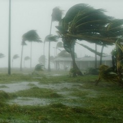 Katrina