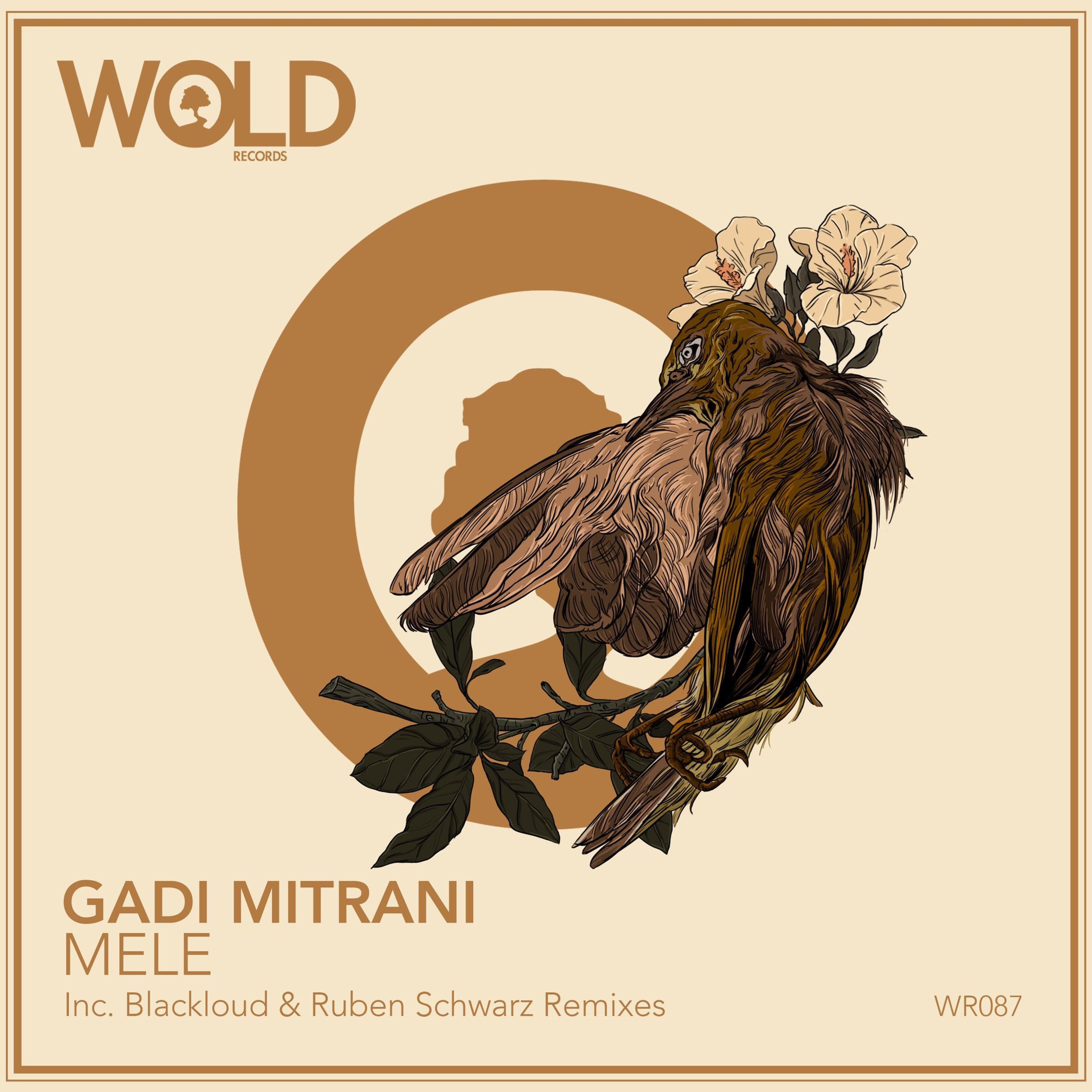 Gadi Mitrani