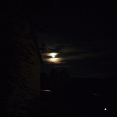 Dancing on the Moon1.2025.10.2.mp3