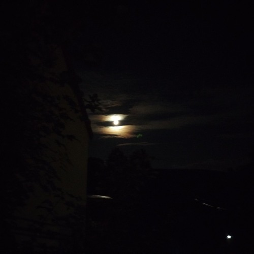 Dancing on the Moon1.2025.10.2.mp3