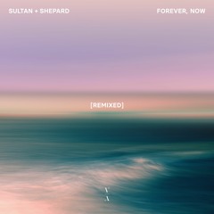 Sultan + Shepard - Losing Ground with Tishmal (Rinzen Remix)