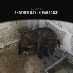 SPED UP | Phil Collins - Another Day In Paradise (Glaceo Remix)