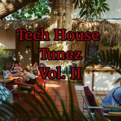 Tech House Tunez Vol. II
