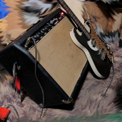 LongEdge - Scooped - SingleCoil