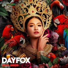 DayFox - Soul Birds (Free Download)