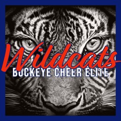 Buckeye Cheer Elite Wildcats 2022-23 - Junior 3 (Cyclone Package)