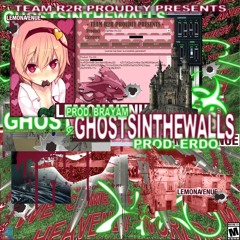 GHOSTSINTHEWALLS ( PROD BRAYAM X ERDO )