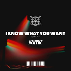 I Know What You Want (JJDMK DUB)