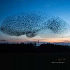 Murmurations Mix