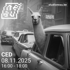 CED — Bazar Bizar #40