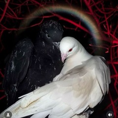 "Still" - CloudTrap TypeBeat