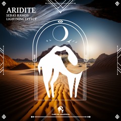 Sebas Ramos, Lightning Effect - Aridite (Sebas Ramos Version) [Cafe De Anatolia]