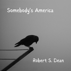 Somebody's America