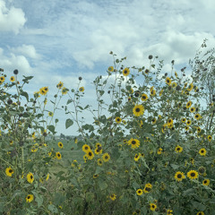 All Yours (prod. khail x garret)