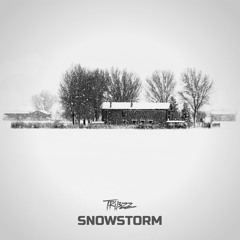 Tribzz - Snowstorm