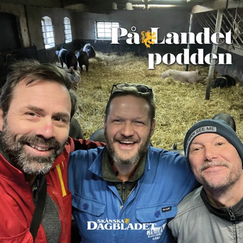 Stream episode Erik Bengtsson by På Landet podcast Listen online for