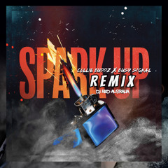 DJ Red x Collie Buddz x Busy Signal - Spark Up [Remix]