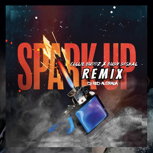 DJ Red x Collie Buddz x Busy Signal - Spark Up [Remix]