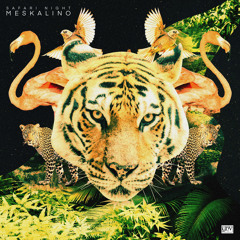Meskalino - Safari Night (Original Mix) [YHV RECORDS]