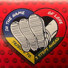 The Vinyl 3 STEPS AHEAD Tribute Mix 26-10-2025.mp3