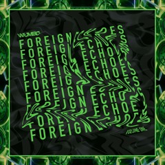 Foreign Echoes Vol.1