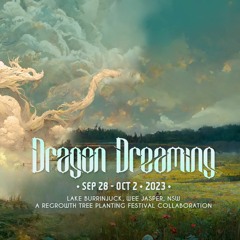 Quality Time - Dragon Dreaming 2023 Application Mix