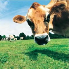 firestarter (me x yung cams)