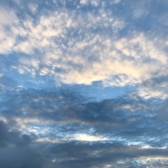 Dream Sequence: 7th December '25