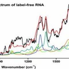 RNA Spectrum (with Pete Swinton) (Original Unmastered Version)