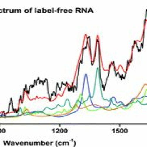 RNA Spectrum (with Pete Swinton) (Original Unmastered Version)