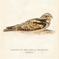 Nightjar - Pangolin Dreams & Odokuro