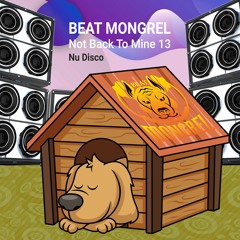 Not Back To Mine mix 13 free mix download