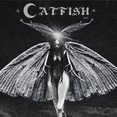 Podcast Series 012 - Catfish