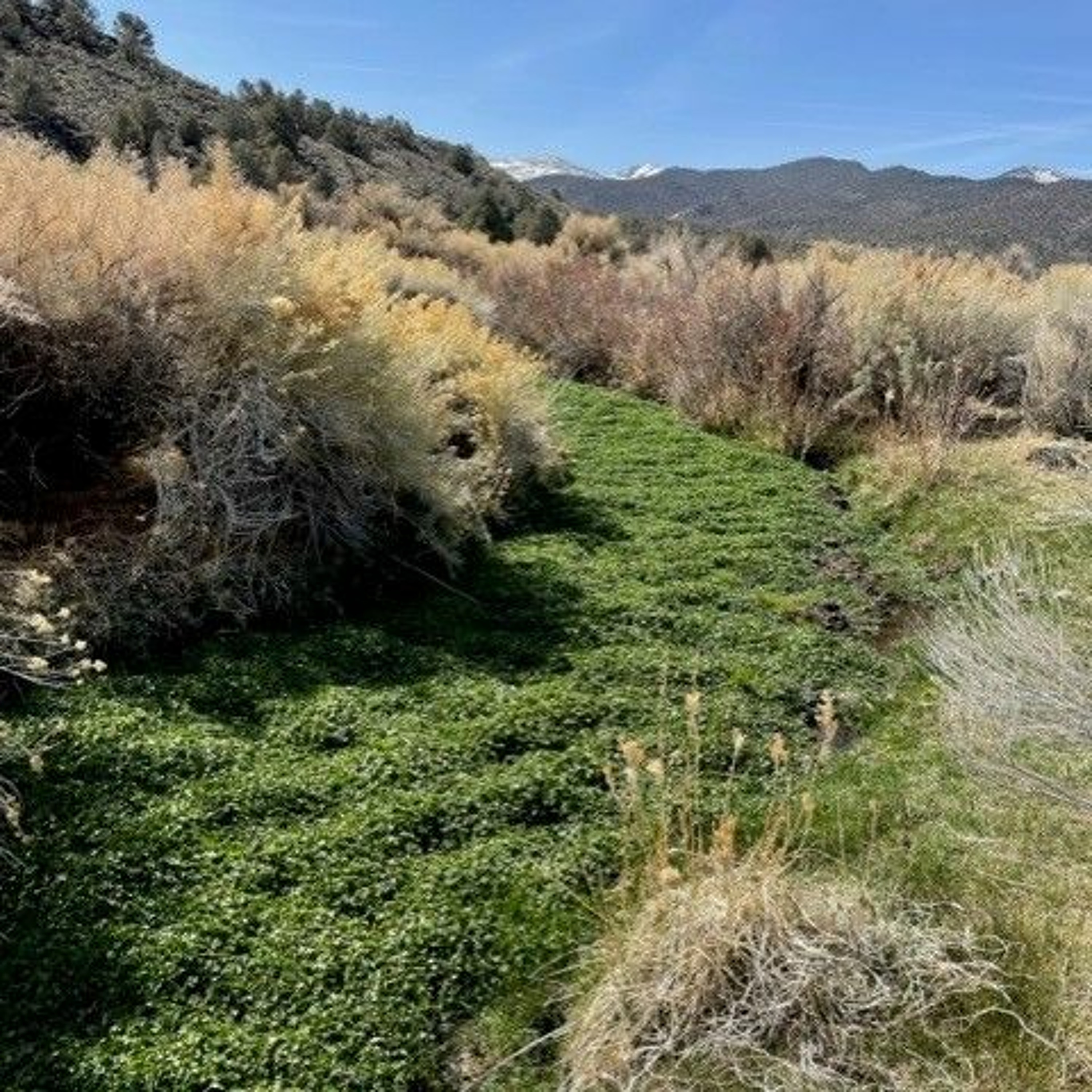 NDOW presents the Nevada Wild Podcast