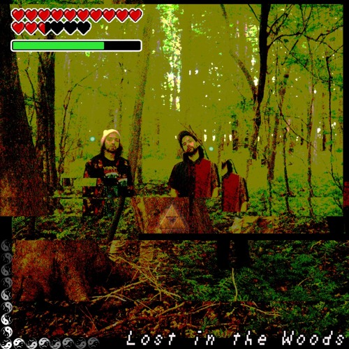 Lost In The Woods