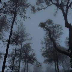 أَمْ مَنْ أَسَّسَ بُنْيَانَهُ عَلَى شفا جُرُفٍ هَارٍ فَانْهَارَ به في نار جهنم" - عبدالله الخلف"