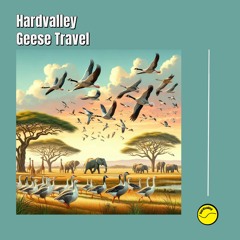 Geese Travel